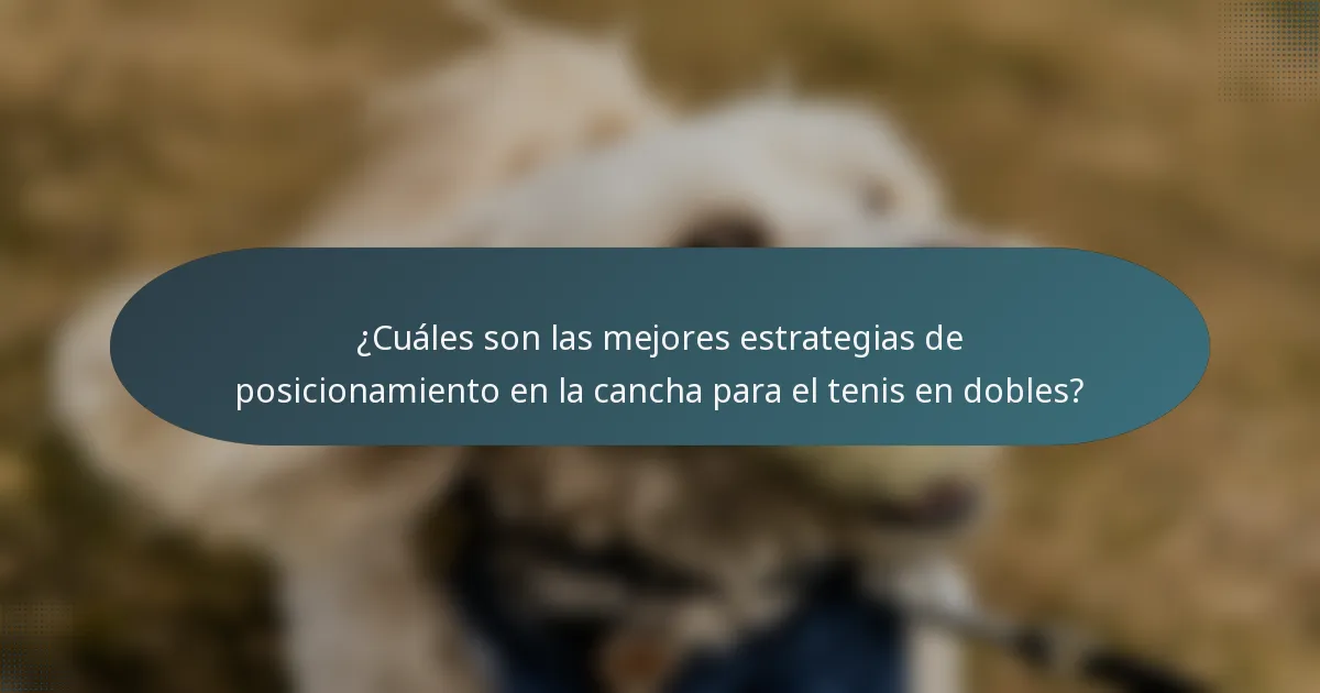 ¿Cuáles son las mejores estrategias de posicionamiento en la cancha para el tenis en dobles?