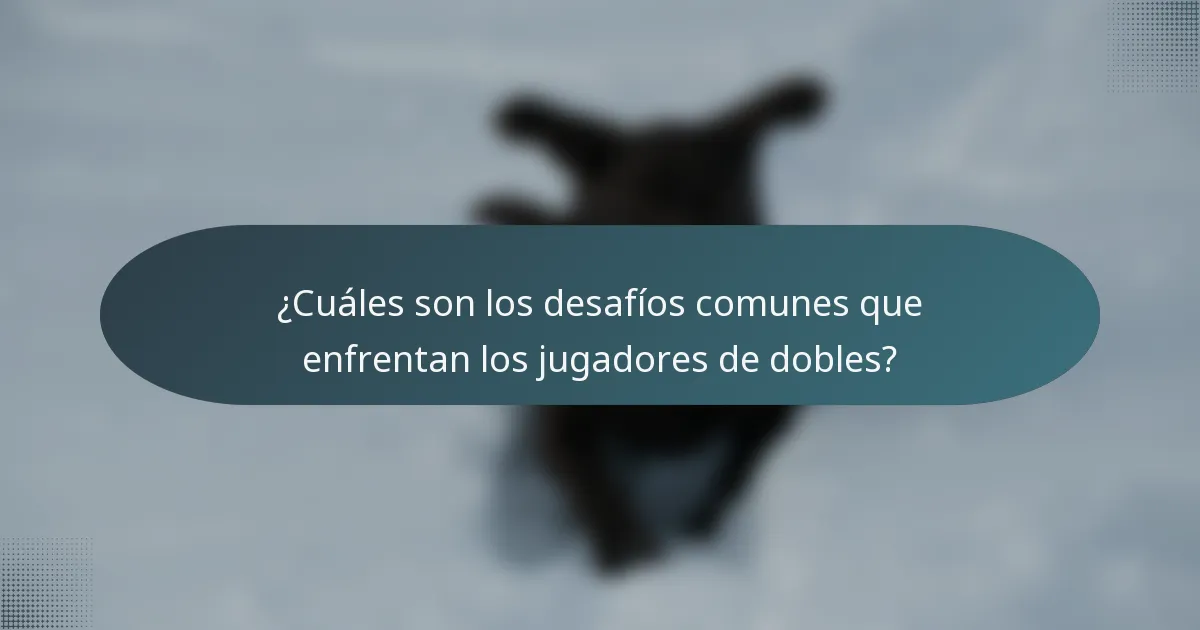 ¿Cuáles son los desafíos comunes que enfrentan los jugadores de dobles?