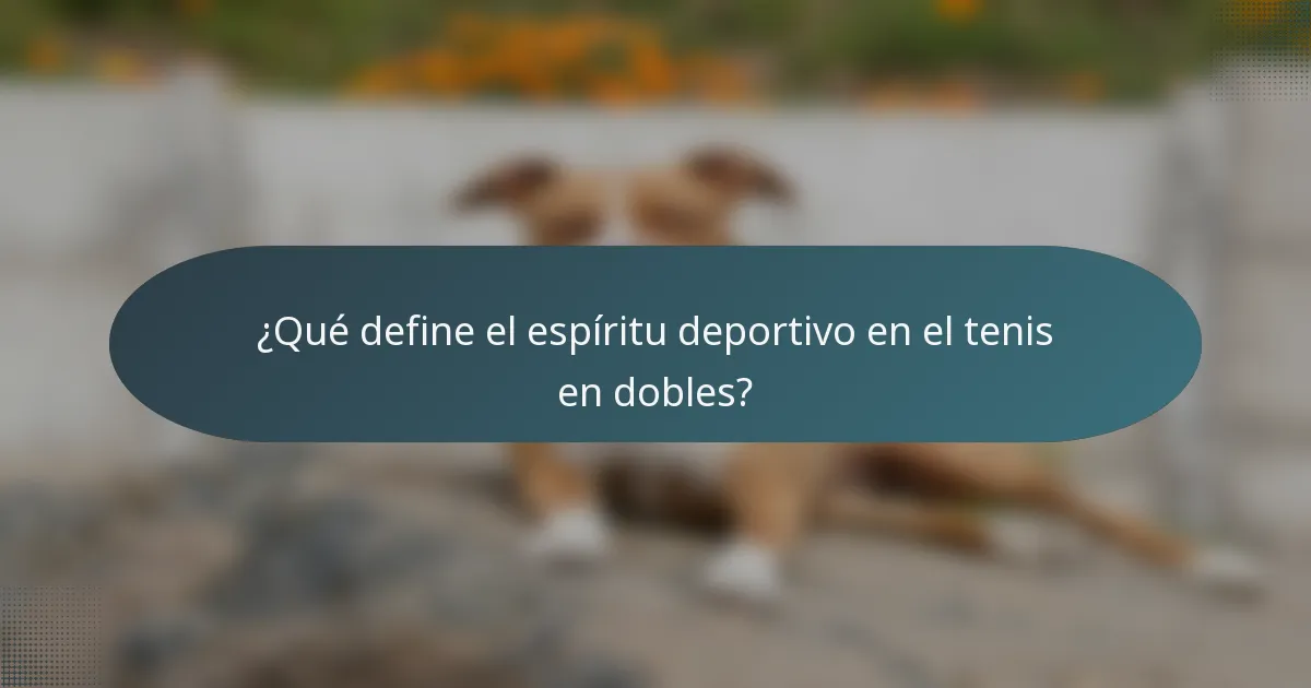 ¿Qué define el espíritu deportivo en el tenis en dobles?