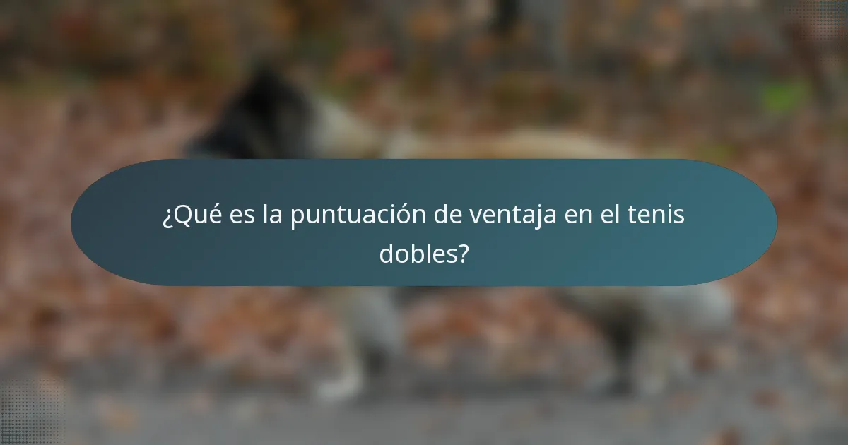¿Qué es la puntuación de ventaja en el tenis dobles?